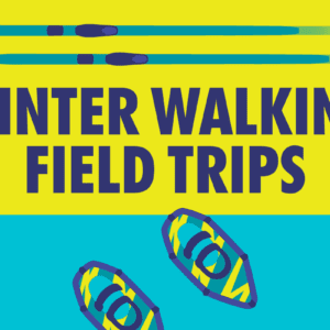 Illustration promoting "Winter Walking Field Trips." The image features bold navy blue text on a bright yellow background that reads "WINTER WALKING FIELD TRIPS." Above the text, there are two stylized cross-country ski poles in teal with navy blue accents. Below, on a teal background, two abstract snowshoes with vibrant yellow and blue patterns and navy blue straps are depicted. The design is minimalistic, with high-contrast colors for visibility and readability.